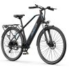 DUOTTS EBIKE C29Lite