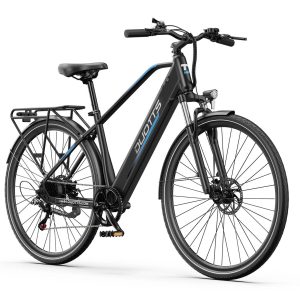 DUOTTS EBIKE C29Lite