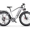 DUOTTS EBIKE F26 Lite Silver — снимка 4