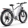 DUOTTS EBIKE F26 Lite Silver — снимка 3