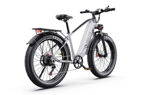 DUOTTS EBIKE F26 Lite Silver — снимка 3
