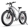 DUOTTS EBIKE F26 Lite Silver