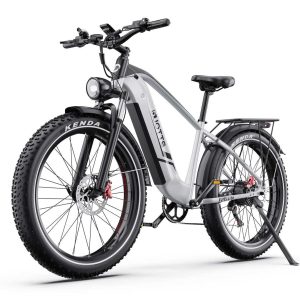 DUOTTS EBIKE F26 Lite Silver