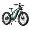 DUOTTS E26 Електрически велосипед Green-Purple — снимка 7