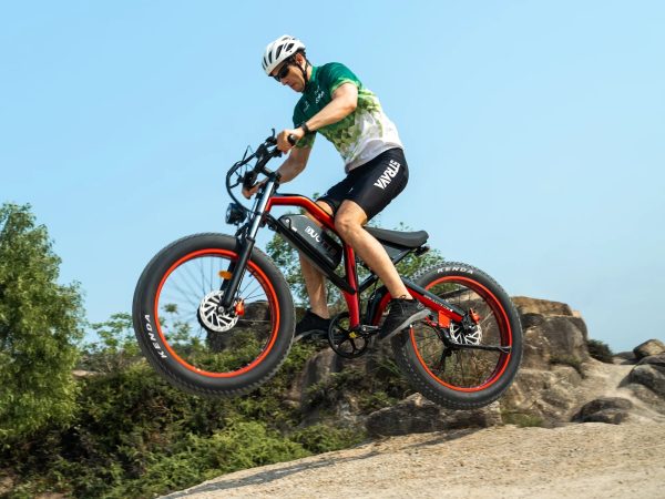 DUOTTS N26 Electric Bike Red DUOTTS N26 Електрически велосипед Red — снимка 9
