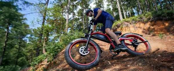 DUOTTS N26 Electric Bike Red DUOTTS N26 Електрически велосипед Red — снимка 10